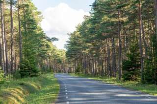 Загородные дома Uue-Hallikivi Talu Kauste-1